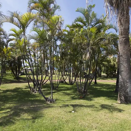 Apartamento Jardin Del Teide Puerto de la Cruz (Tenerife)